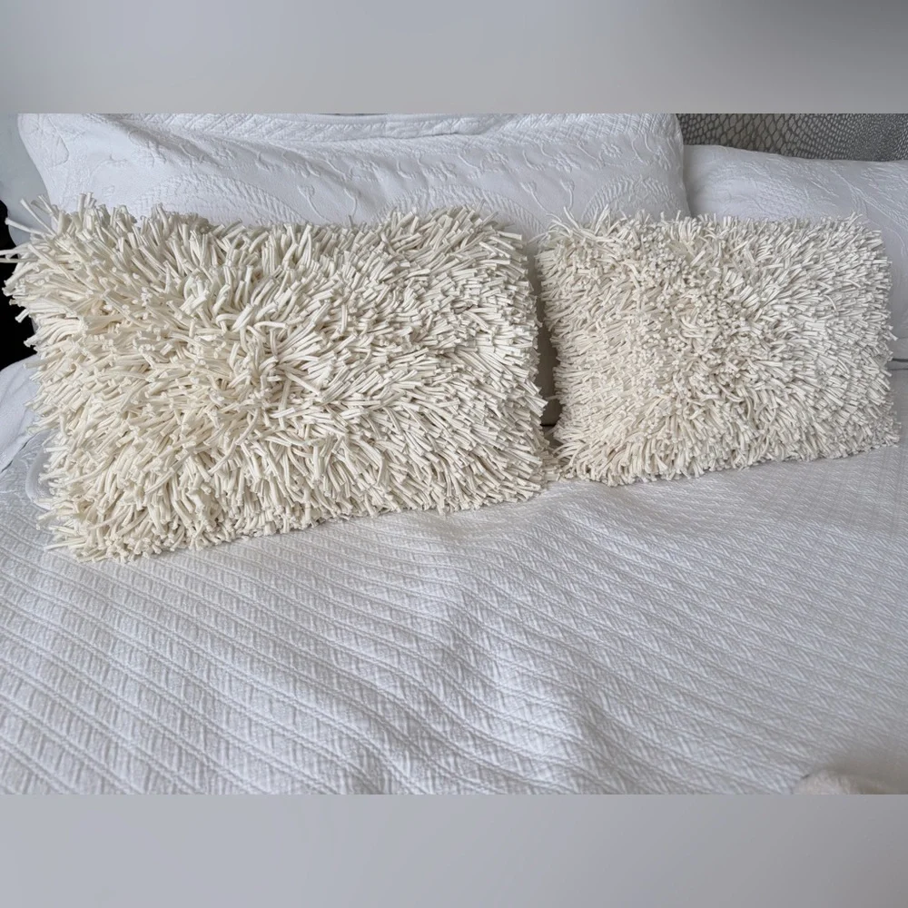 Crate & Barrel Remy Throw Pillows (2)